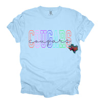 CUSTOM PE Teacher Tees