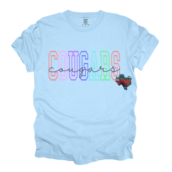 CUSTOM PE Teacher Tees