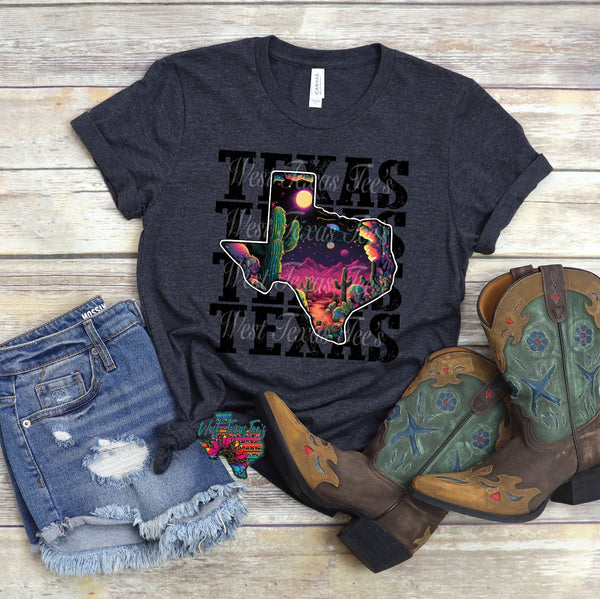 Texas Desert